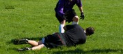 OTFL Gallery Image